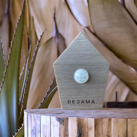 dejama singing bird box